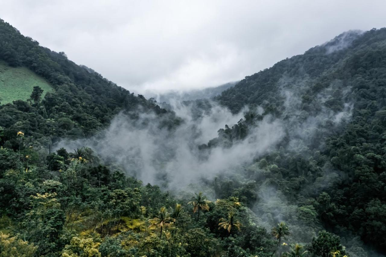 Holistic Stay Eco-Resort & Ayurvedic Retreat Paithalmala Buitenkant foto