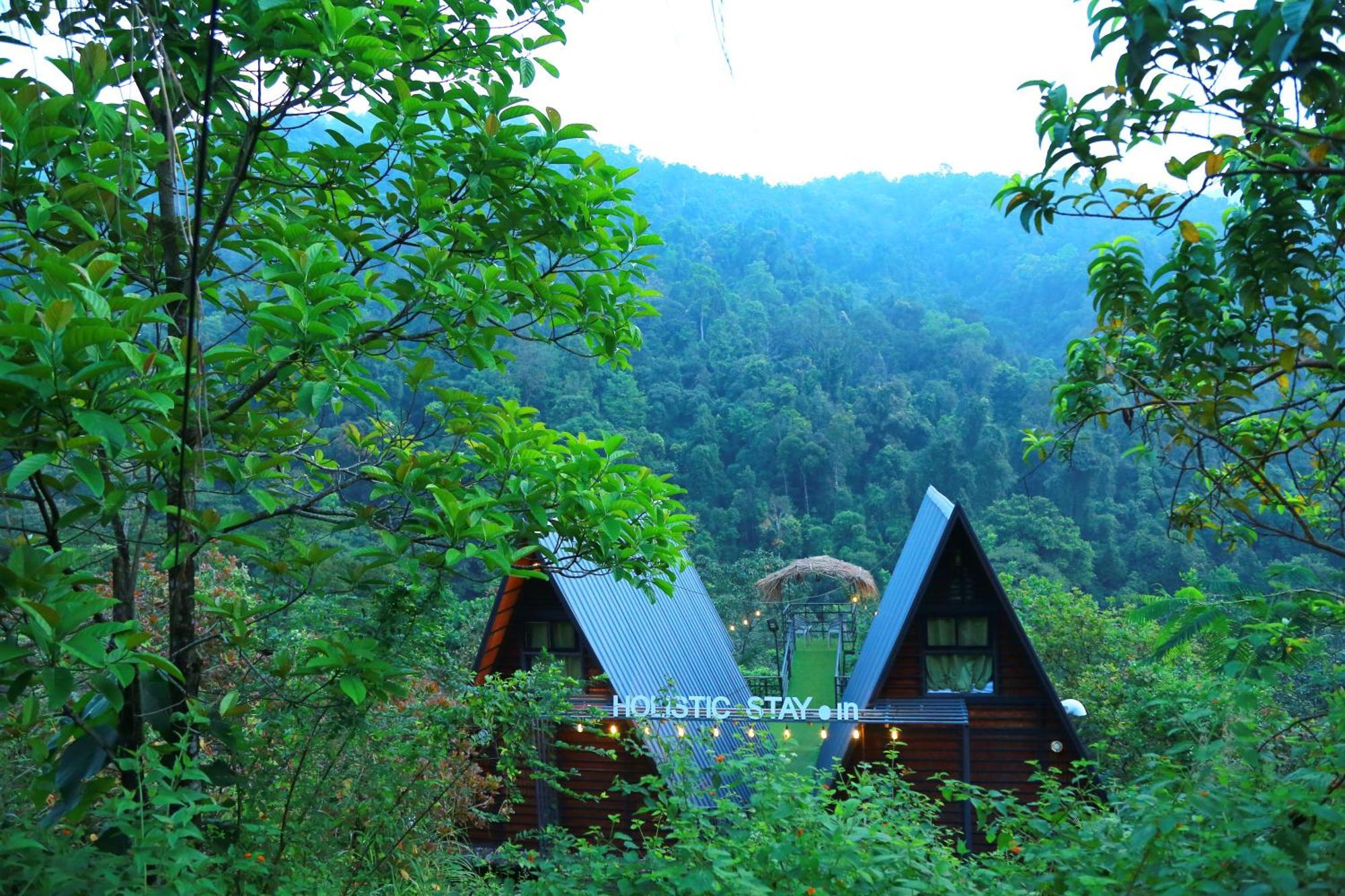 Holistic Stay Eco-Resort & Ayurvedic Retreat Paithalmala Buitenkant foto