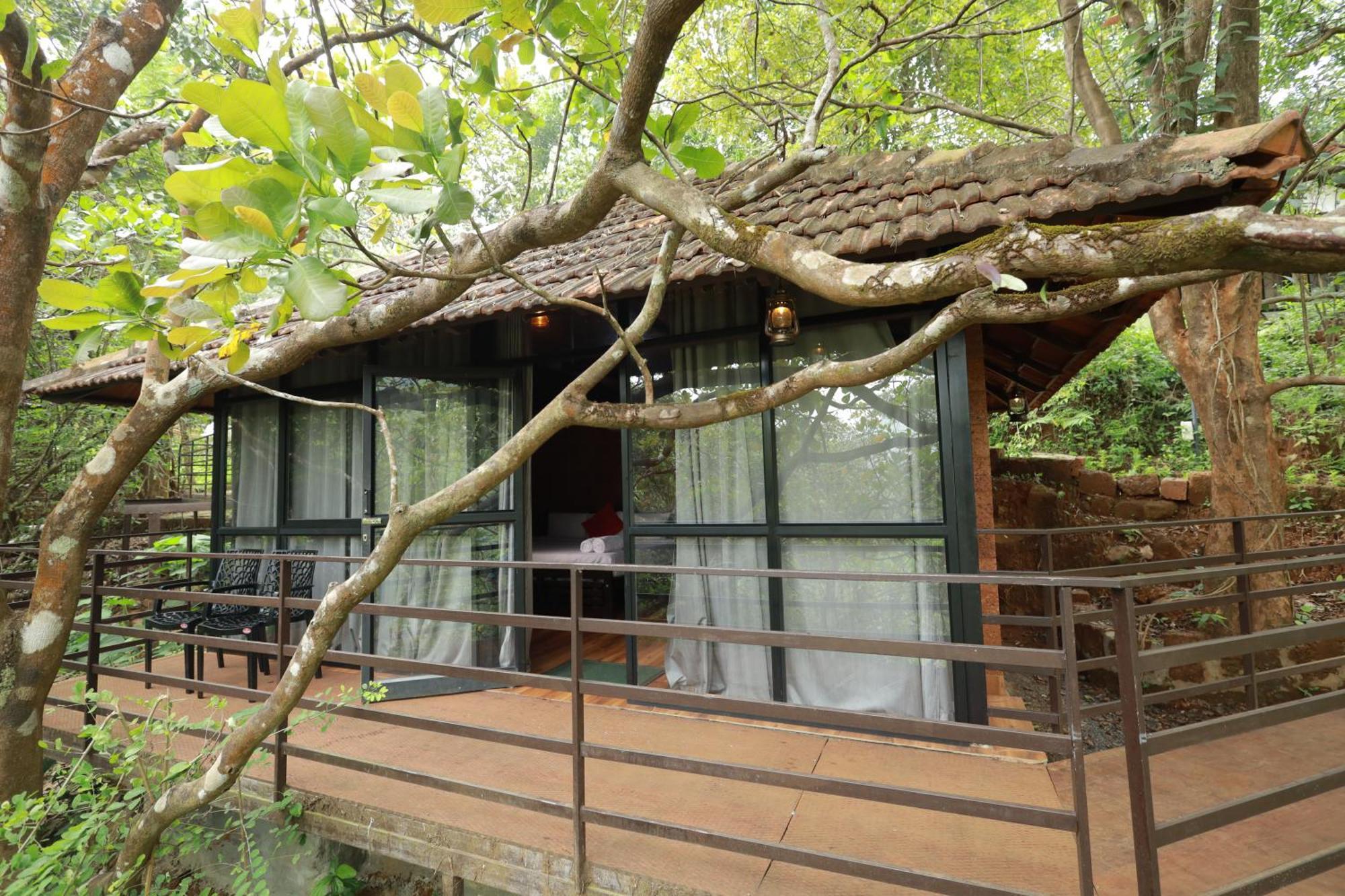 Holistic Stay Eco-Resort & Ayurvedic Retreat Paithalmala Buitenkant foto
